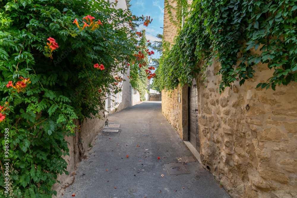 alley village of Lourmarin in the Luberon Provence