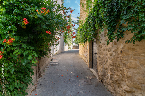 alley village of Lourmarin in the Luberon Provence