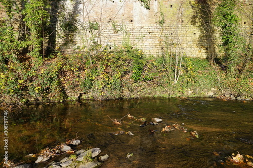 Wasserlandschaft an der Stadtmauer von Neustadt an der Weinstra  e