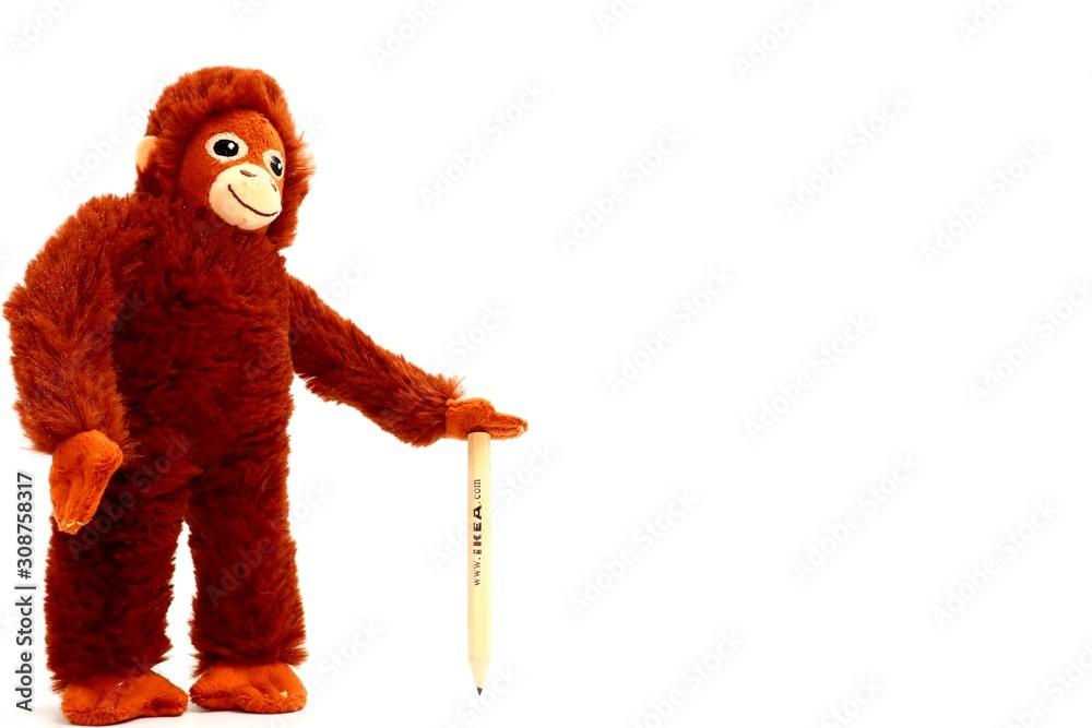 Italy – September 8, 2019: IKEA Orangutan Soft Toy DJUNGELSKOG with pencil.  IKEA is the world's largest furniture retailer and sells ready to assemble  furniture Photos | Adobe Stock