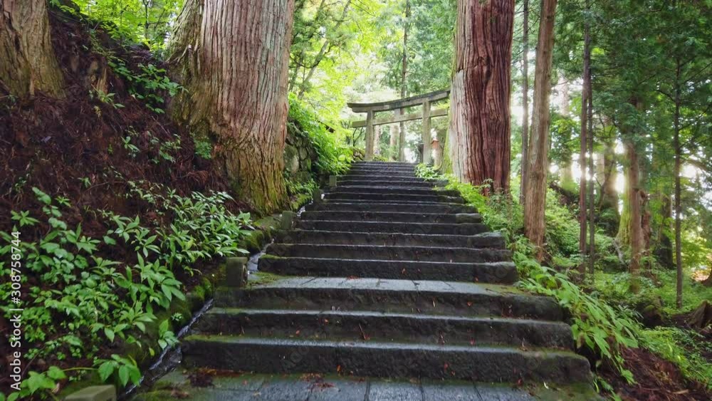 Person POV walking up stairs to Torii gates in Nikko, Japan Person POV walking up stairs to Torii gates in Nikko, Japan