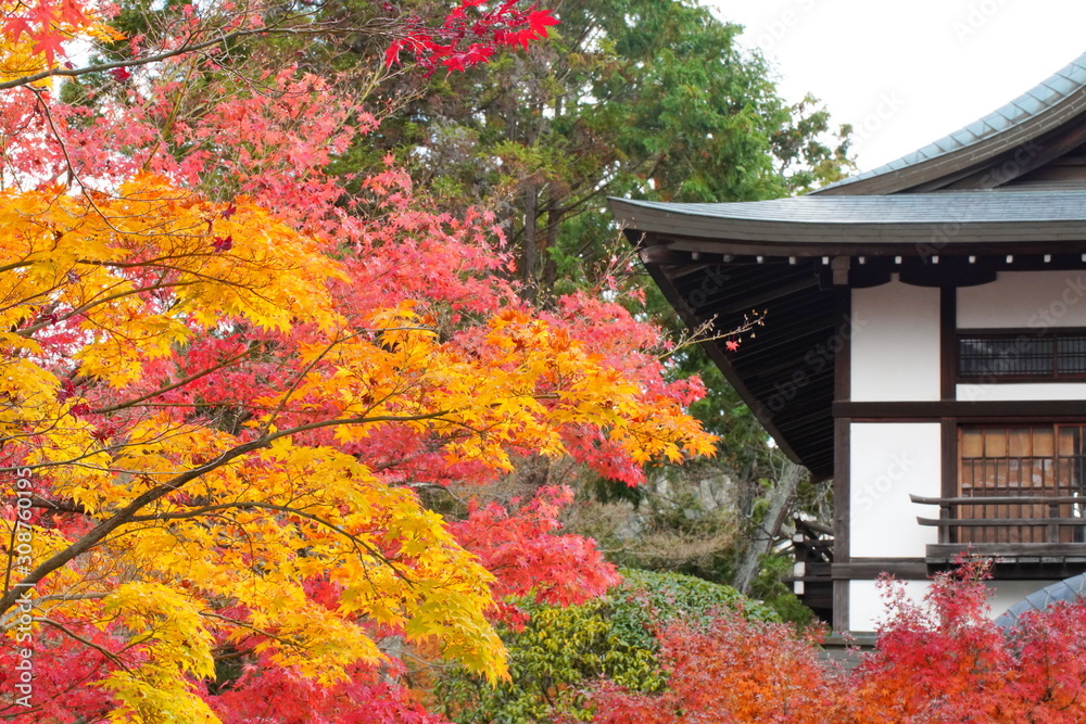 日本の古都　京都の秋の風景　南禅寺と永観堂