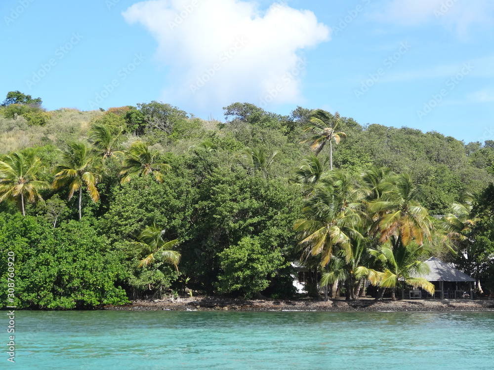Fototapeta premium ile déserte tropicale