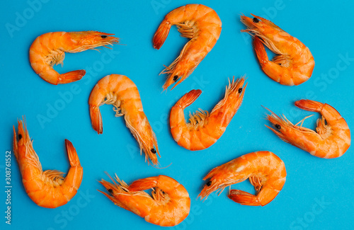 Delicious shimps on blue background.