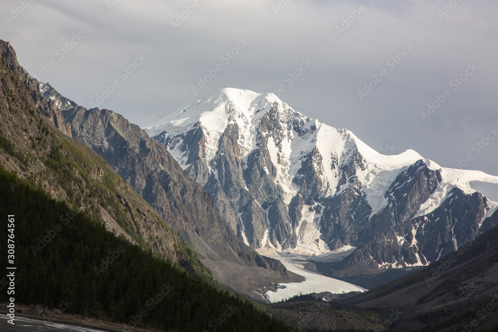altai snow mountain and forest