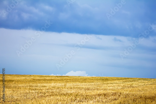 harvested field before a thunderstorm clouds