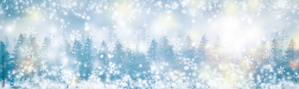 white and gray Christmas light with snowflake bokeh background, Winter backdrop wallpaper.