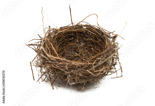 Photo bird nest isolated