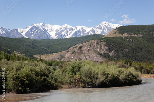 altai mountain and river in forest