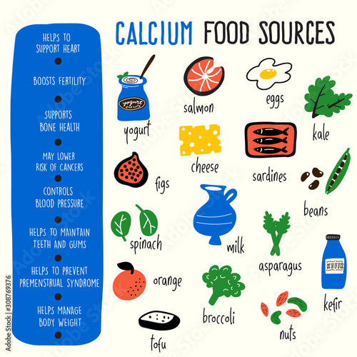 Vector cartoon illustration of calcium food sources and information about it benefits. Infographic poster photo