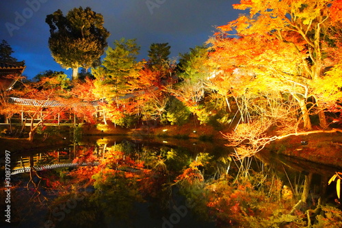 日本の古都　京都の高台寺のライトアップ