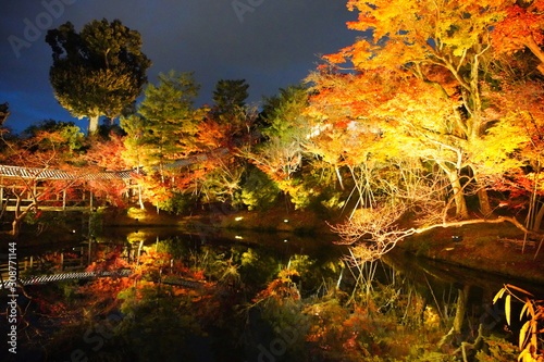 日本の古都　京都の高台寺のライトアップ photo