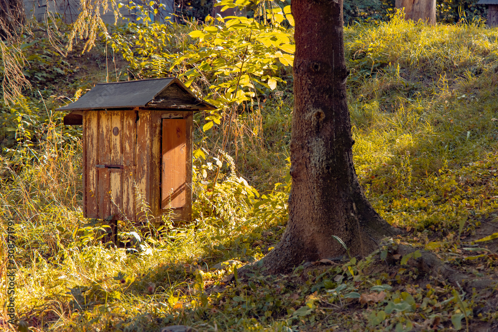 hive wooden cabin in village garden space country side rural view hive wooden cabin in village garden space country side rural view