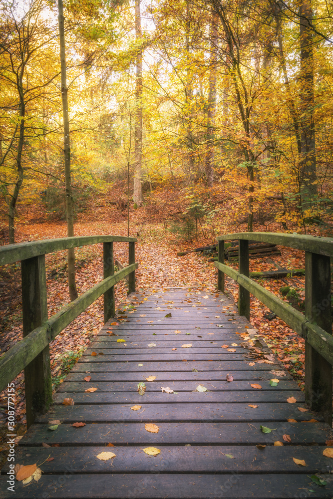 Fototapeta premium Alte Brücke im Herbstwald
