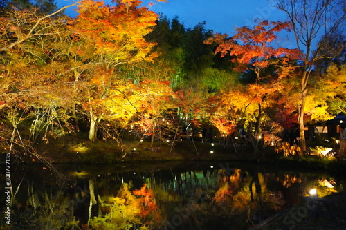 日本の古都 京都の高台寺のライトアップ