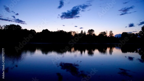 Waterfront Life at Night