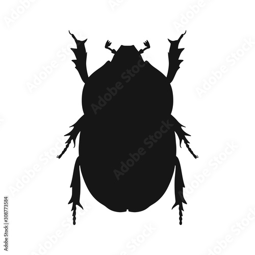 Insect silhouette. Sketch of bug isolated on white background. Vector illustration