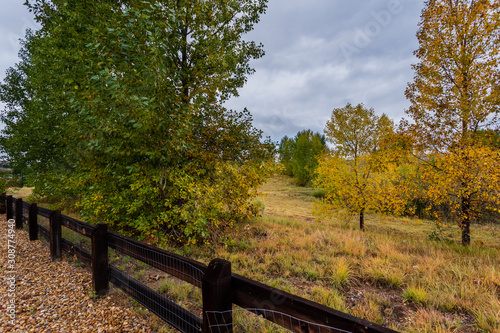 Fall landscape scene with cloudy sky  wood fence  and aspen trees in sloping terrain