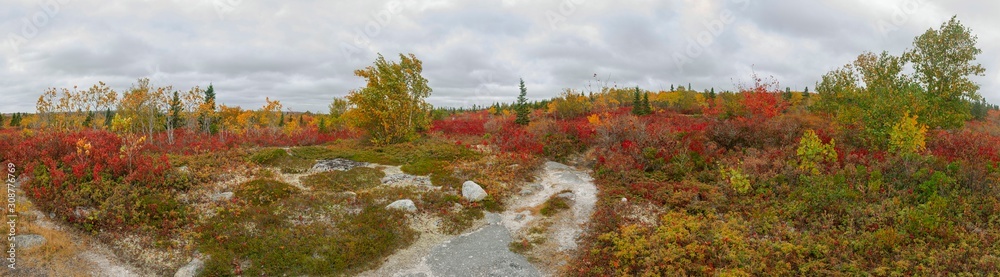 Naklejka premium Landscapes in Autumn Season 