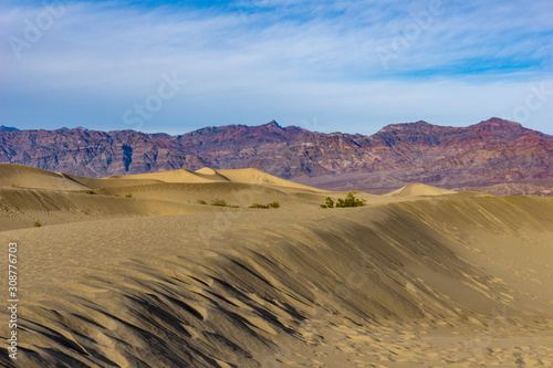 Dunes with a View