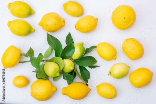 natural lemons with lemon leaves isolated