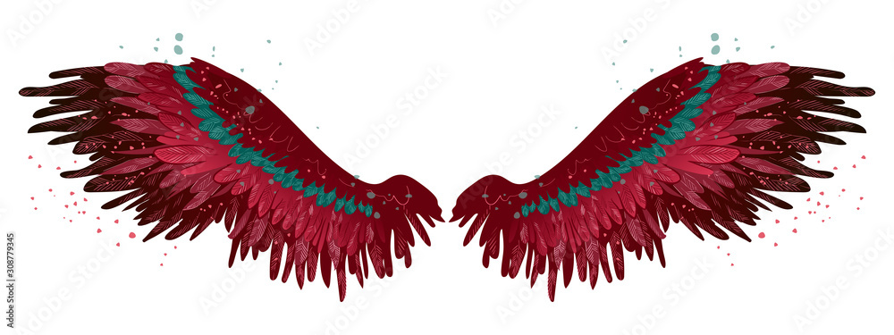 Fototapeta Beautiful magil burgundy pin wings with green feathers