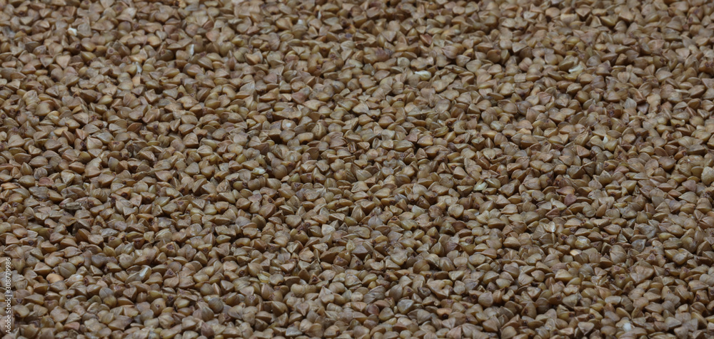 Buckwheat texture, photo cereals, background, horizontal banner, top view.