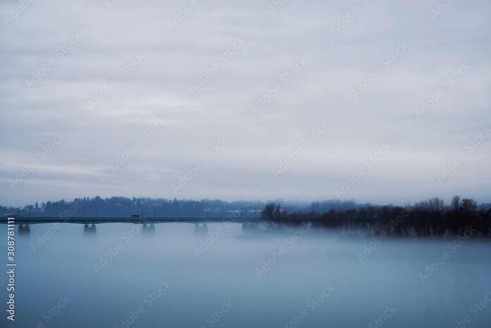 Bridge and trees in the fog