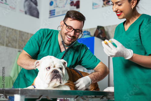 Veterinarian and assistant in vet clinic at work. photo