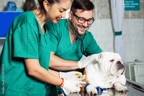 Veterinarian and assistant in vet clinic at work.