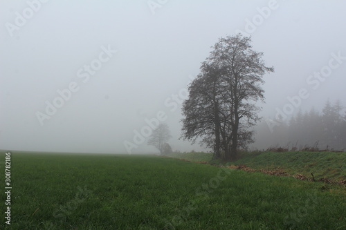 Landschaft im Nebel