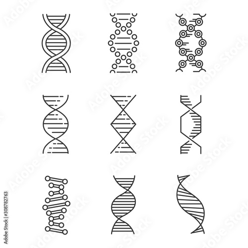 DNA spirals linear icons set. Deoxyribonucleic, nucleic acid helix. Molecular biology. Genetic code. Genetics. Thin line contour symbols. Isolated vector outline illustrations. Editable stroke