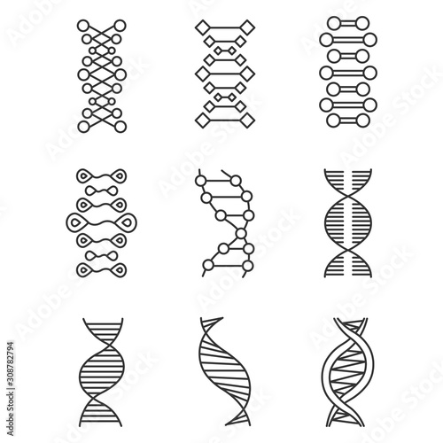 DNA double helix linear icons set. Deoxyribonucleic, nucleic acid. Molecular biology. Genetic code. Genetics. Thin line contour symbols. Isolated vector outline illustrations. Editable stroke
