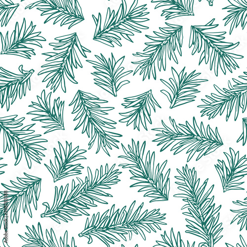 Vector green fir tree branches seamless pattern on white background. Christmas and new year simple illustration. Hand drawn design.