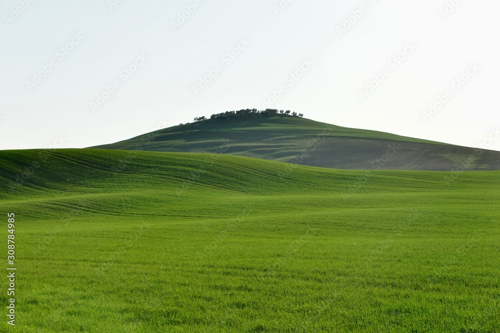 Pure green hills in Tuscany