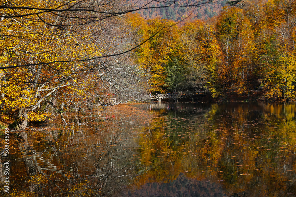 Obraz premium Buyuk Lake in Yedigoller National Park, Bolu, Turkey