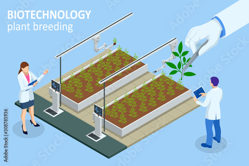 Isometric concept of laboratory exploring new methods of plant breeding and agricultural genetics. Vegetable hydroponic system, agriculture in the greenhouse organic for health food