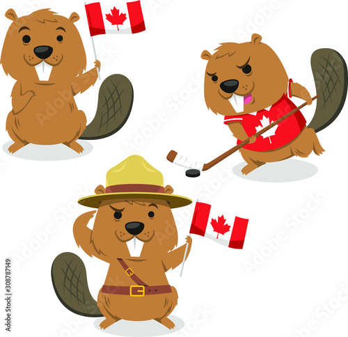 beaver