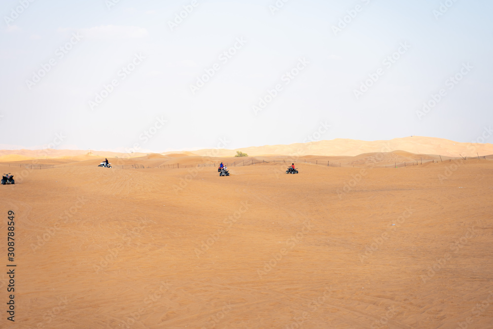 sand dune in the desert