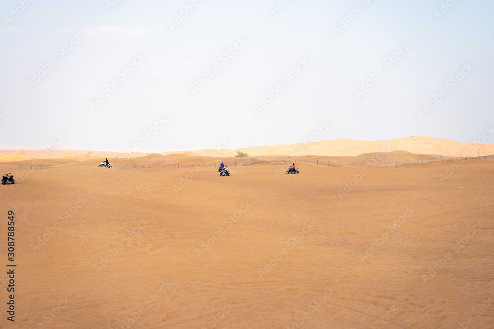 sand dune in the desert sand dune in the desert