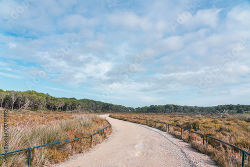 Gravel winding road through an area of       lush vegetation in the natural park Es Trenc  Mallorca