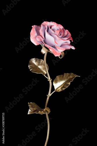 Fototapeta Naklejka Na Ścianę i Meble -  pink metal rose isolated on black background