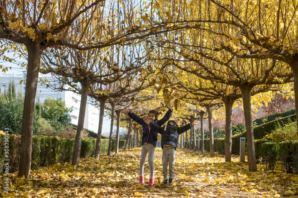 Siblings with autumn leafs ready for play in autumn day Siblings with autumn leafs ready for play in autumn day