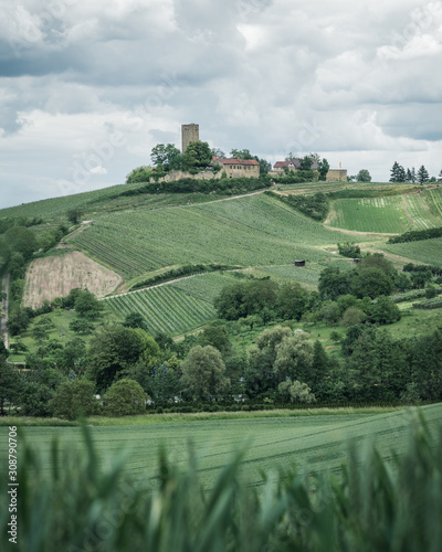 Die Burg Ravensburg in der Nähe von Sulzfeld im Naturpark Stromberg Heuchelberg photo