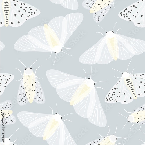 vector seamless pattern of white butterflies and moths on gray background,hand drawn picture