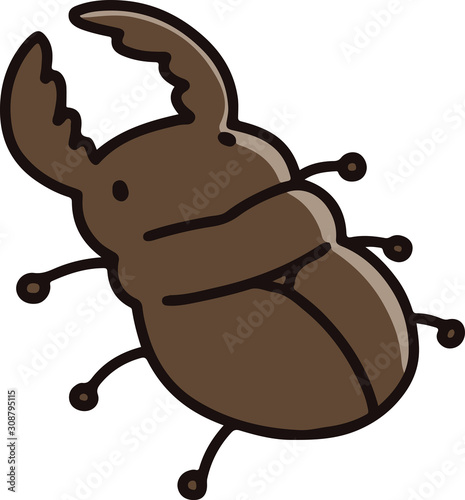 Outlined brown stag beetle