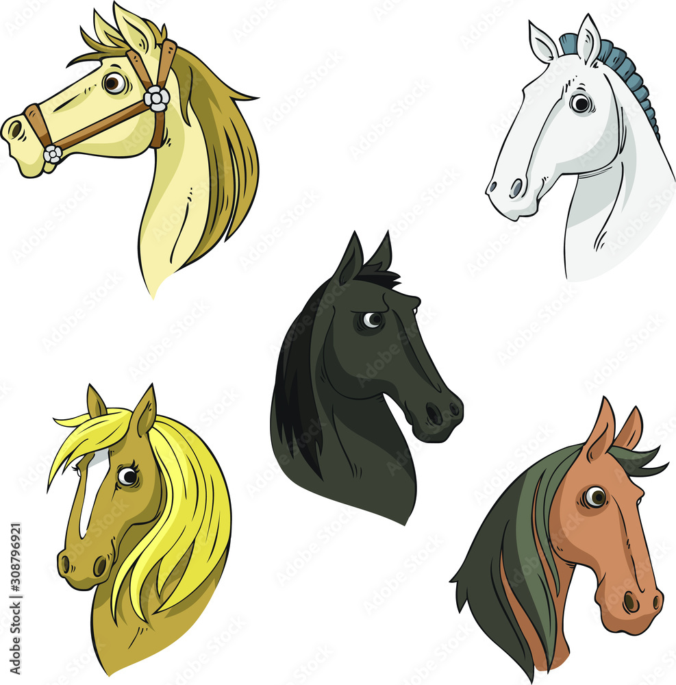 horse heads