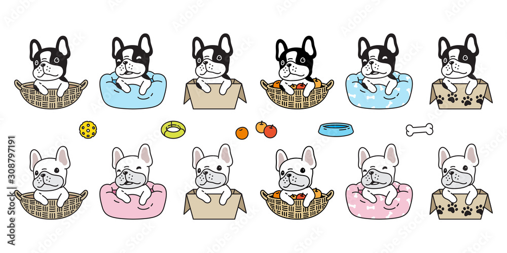 Fototapeta dog vector french bulldog bone puppy pet toy box basket pillow icon cartoon character symbol breed illustration doodle design