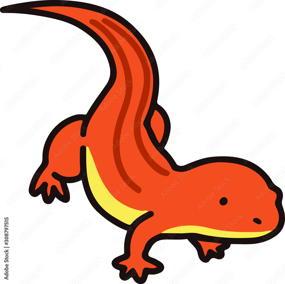 Fototapeta premium Outlined red lizard