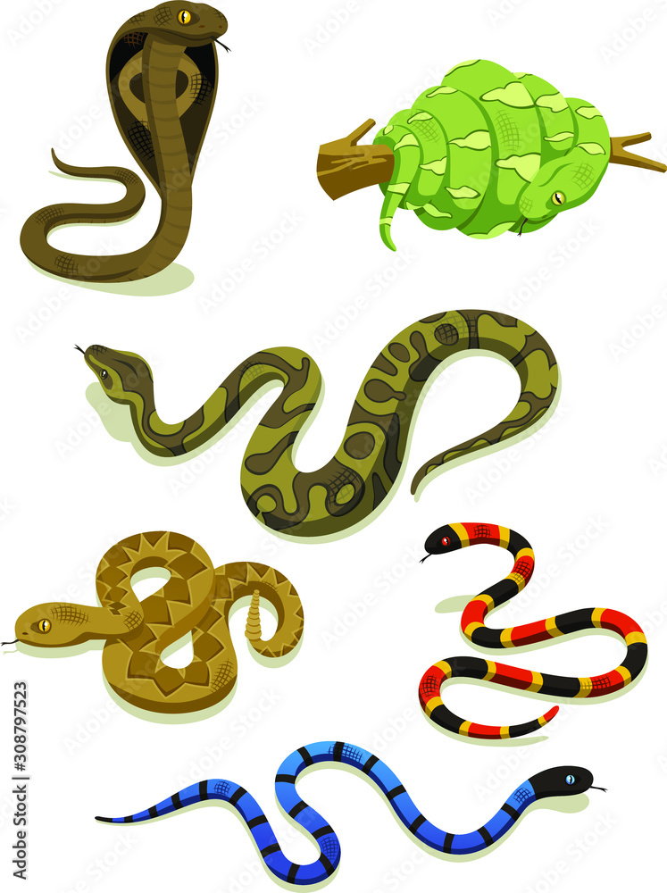 Naklejka premium snakes